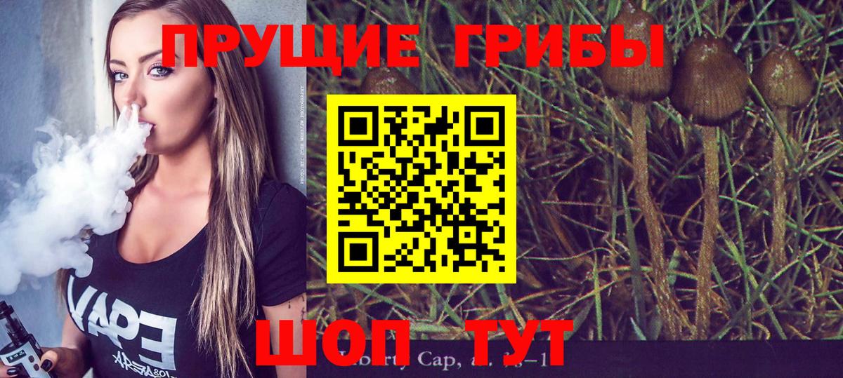 Ковров  Псилоцибиновые грибы GOLDEN TEACHER  Галлюциногенные грибы Psilocybe  Вход с VPN 