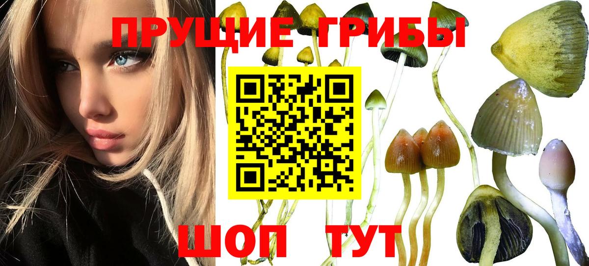 Галлюциногенные грибы GOLDEN TEACHER Ковров